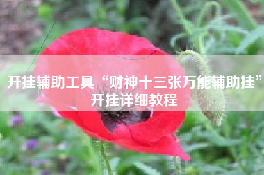 开挂辅助工具“财神十三张万能辅助挂	”开挂详细教程