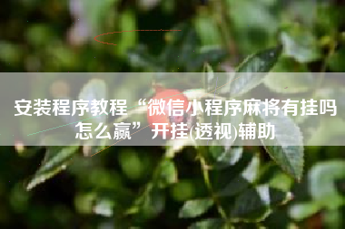 安装程序教程“微信小程序麻将有挂吗怎么赢	”开挂(透视)辅助