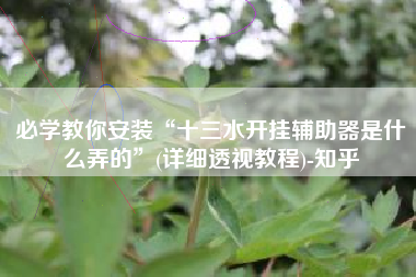 必学教你安装“十三水开挂辅助器是什么弄的”(详细透视教程)-知乎
