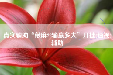 真实辅助“敲麻22输赢多大	”开挂(透视)辅助