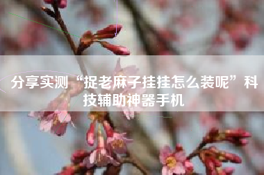分享实测“捉老麻子挂挂怎么装呢”科技辅助神器手机