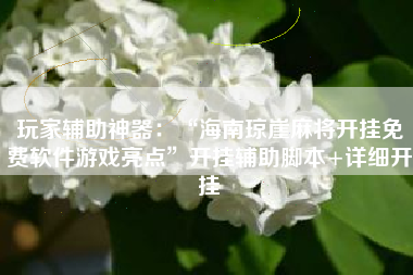 玩家辅助神器：“海南琼崖麻将开挂免费软件游戏亮点	”开挂辅助脚本+详细开挂