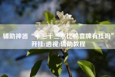 辅助神器“十三十三水比鸡喜牌有挂吗	”开挂(透视)辅助教程