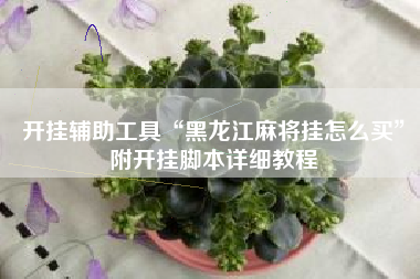 开挂辅助工具“黑龙江麻将挂怎么买”附开挂脚本详细教程