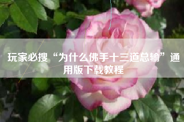 玩家必搜“为什么佛手十三道总输”通用版下载教程