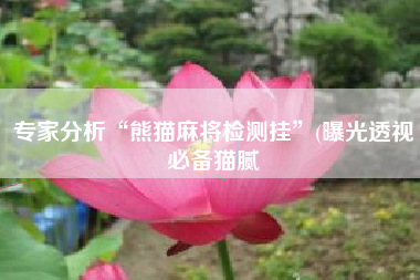 专家分析“熊猫麻将检测挂”(曝光透视必备猫腻