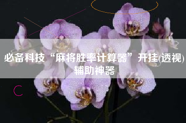 必备科技“麻将胜率计算器”开挂(透视)辅助神器