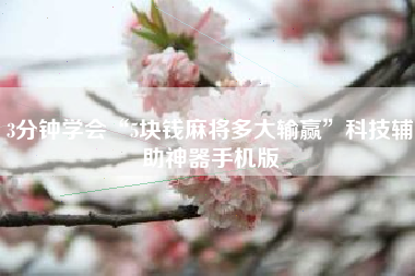 3分钟学会“5块钱麻将多大输赢”科技辅助神器手机版