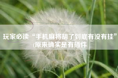 玩家必读“手机麻将胡了到底有没有挂”(原来确实是有插件