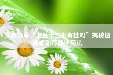 实测分享“上品十三水有挂吗”揭秘透视辅助万能挂用法