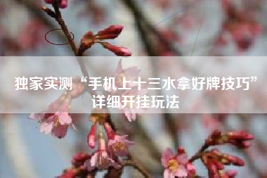 独家实测“手机上十三水拿好牌技巧”详细开挂玩法