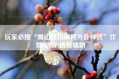 玩家必搜“蜀山四川麻将外卦神器”作弊(透视)透视辅助