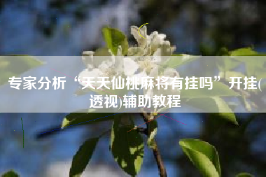 专家分析“天天仙桃麻将有挂吗”开挂(透视)辅助教程