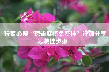 玩家必搜“琼雀麻将免费挂”详细分享装挂步骤