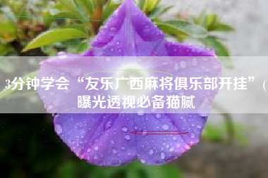 3分钟学会“友乐广西麻将俱乐部开挂	”(曝光透视必备猫腻