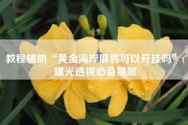 教程辅助“黄金海岸麻将可以开挂吗	”(曝光透视必备猫腻