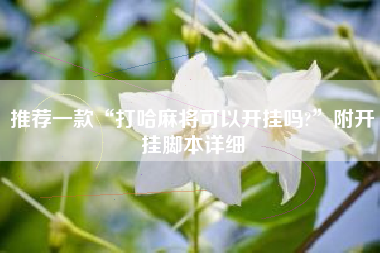 推荐一款“打哈麻将可以开挂吗?”附开挂脚本详细