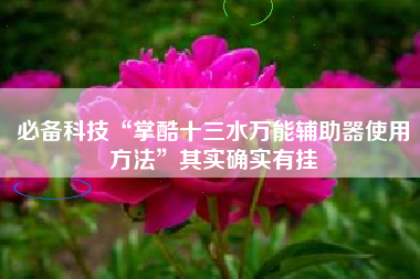 必备科技“掌酷十三水万能辅助器使用方法	”其实确实有挂