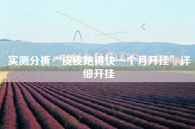 实测分析“皮皮跑得快一个月开挂”详细开挂