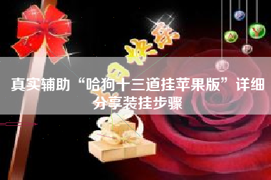 真实辅助“哈狗十三道挂苹果版	”详细分享装挂步骤