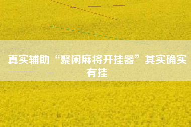 真实辅助“聚闲麻将开挂器”其实确实有挂