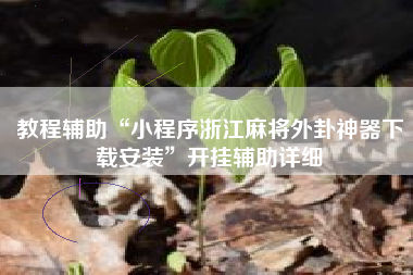 教程辅助“小程序浙江麻将外卦神器下载安装	”开挂辅助详细