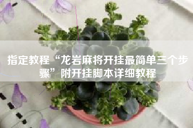 指定教程“龙岩麻将开挂最简单三个步骤”附开挂脚本详细教程