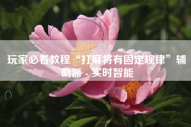 玩家必看教程“打麻将有固定规律”辅助器 - 实时智能