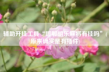 辅助开挂工具“邯郸胡乐麻将有挂吗”(原来确实是有插件)