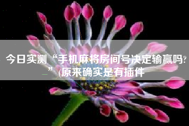 今日实测“手机麻将房间号决定输赢吗?”(原来确实是有插件