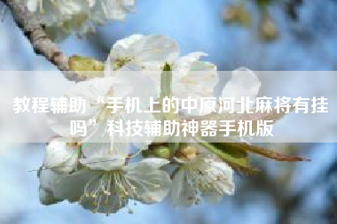 教程辅助“手机上的中原河北麻将有挂吗”科技辅助神器手机版 教程辅助“手机上的中原河北麻将有挂吗”科技辅助神器手机版