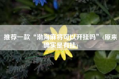 推荐一款“渤海麻将可以开挂吗”(原来确实是有挂)