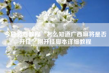 今日必看教程“怎么知道广西麻将是否开挂”附开挂脚本详细教程