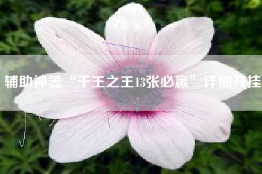 辅助神器“千王之王13张必赢”详细开挂