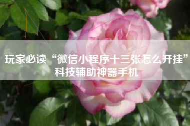 玩家必读“微信小程序十三张怎么开挂	”科技辅助神器手机