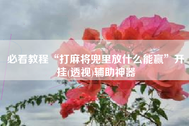 必看教程“打麻将兜里放什么能赢”开挂(透视)辅助神器