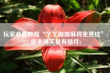 玩家必看教程“丫丫湖南麻将免费挂”(原来确实是有插件) 玩家必看教程“丫丫湖南麻将免费挂”(原来确实是有插件)