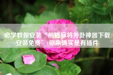 必学教你安装“熊猫麻将外卦神器下载安装免费	”(原来确实是有插件