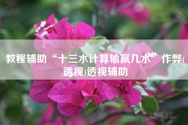 教程辅助“十三水计算输赢几水”作弊(透视)透视辅助