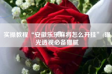 实操教程“安徽乐乐麻将怎么开挂”(曝光透视必备猫腻