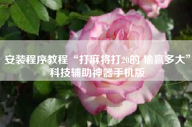 安装程序教程“打麻将打20的 输赢多大	”科技辅助神器手机版