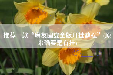 推荐一款“麻友圈安全版开挂教程”(原来确实是有挂)