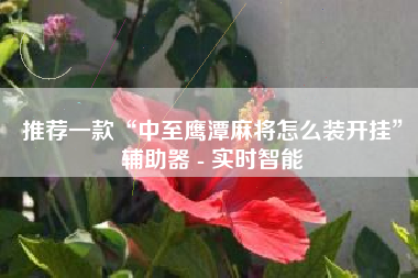 推荐一款“中至鹰潭麻将怎么装开挂”辅助器 - 实时智能