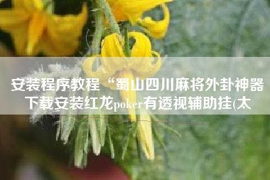 安装程序教程“蜀山四川麻将外卦神器下载安装红龙poker有透视辅助挂(太 安装程序教程“蜀山四川麻将外卦神器下载安装红龙poker有透视辅助挂(太