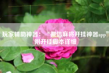 玩家辅助神器：“微信麻将开挂神器app”附开挂脚本详细