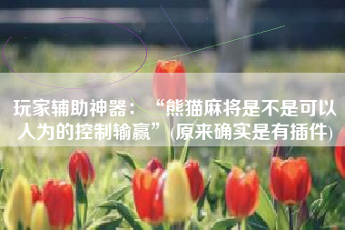 玩家辅助神器：“熊猫麻将是不是可以人为的控制输赢”(原来确实是有插件)