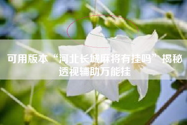 可用版本“河北长城麻将有挂吗”揭秘透视辅助万能挂