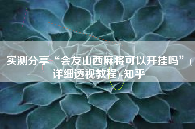 实测分享“会友山西麻将可以开挂吗”(详细透视教程)-知乎