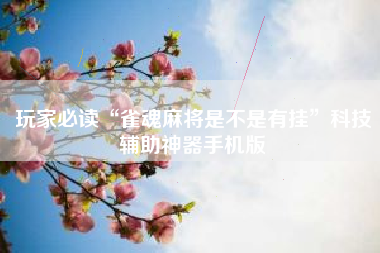 玩家必读“雀魂麻将是不是有挂”科技辅助神器手机版