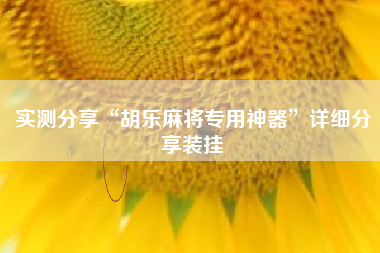 实测分享“胡乐麻将专用神器”详细分享装挂